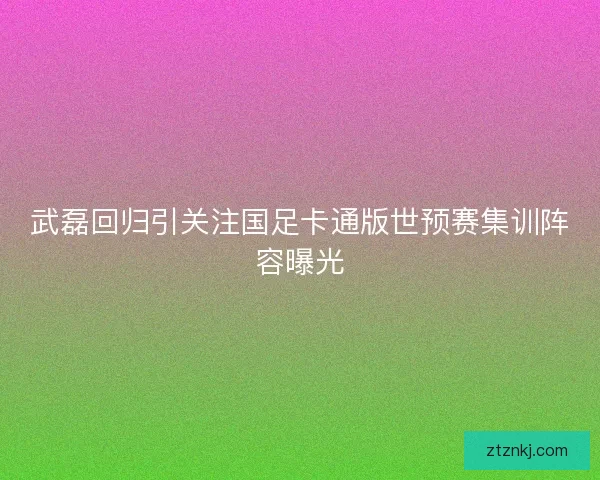 武磊回归引关注国足卡通版世预赛集训阵容曝光