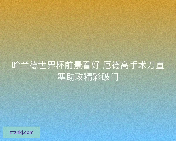 哈兰德世界杯前景看好 厄德高手术刀直塞助攻精彩破门