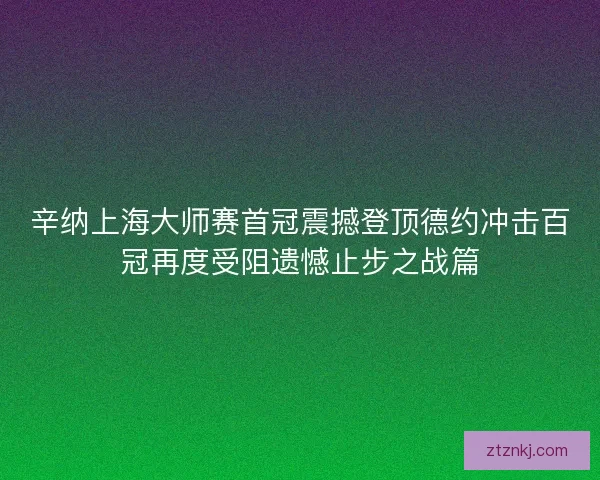 辛纳上海大师赛首冠震撼登顶德约冲击百冠再度受阻遗憾止步之战篇
